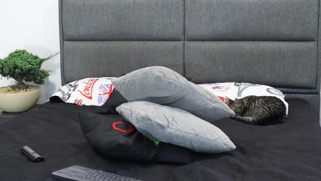 jackob_jj  10-02-2022 video twink