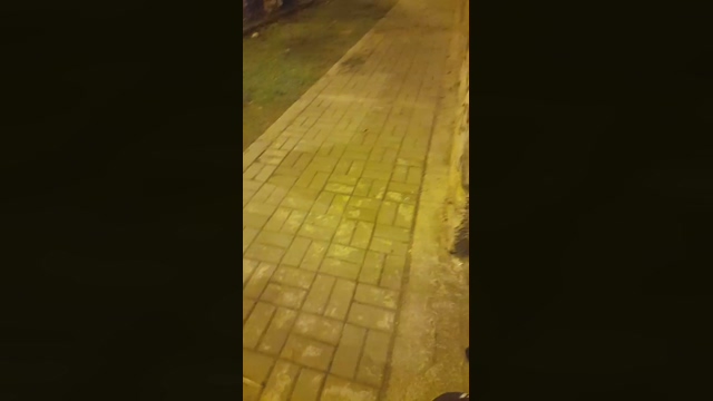 santiagosexo4  11-02-2022 video bicurious