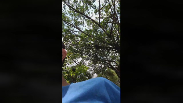 latinpopus3  12-02-2022 video Video