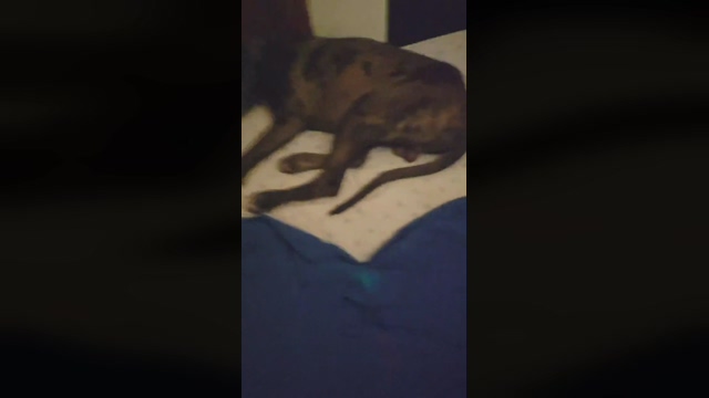 Alexchera  13-02-2022 video love