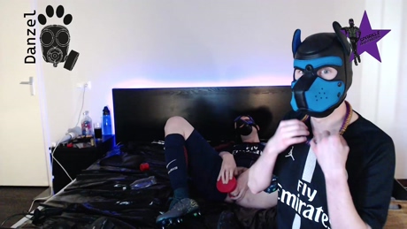 DANZEL_PUP  12-02-2022 Recorded Video handsome