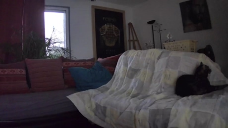 EnzorimenezPriv  13-02-2022 Recorded Video ass