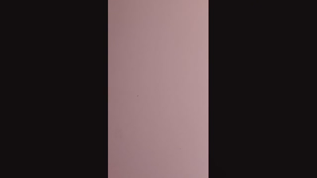 Renata_Montero 12-02-2022 bigcock 