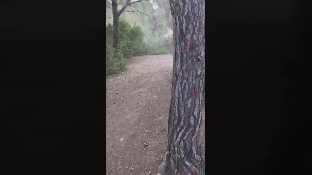 Slavomir78  13-02-2022 Recorded Video sweet