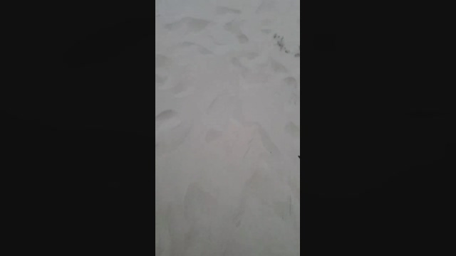 Militar_S  13-02-2022 video prettyface