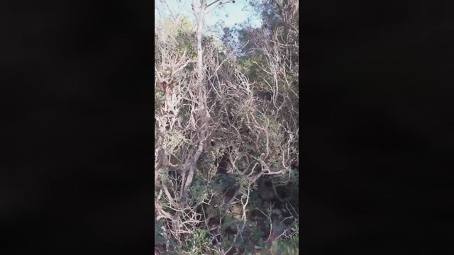 Slavomir78  14-02-2022 video gag