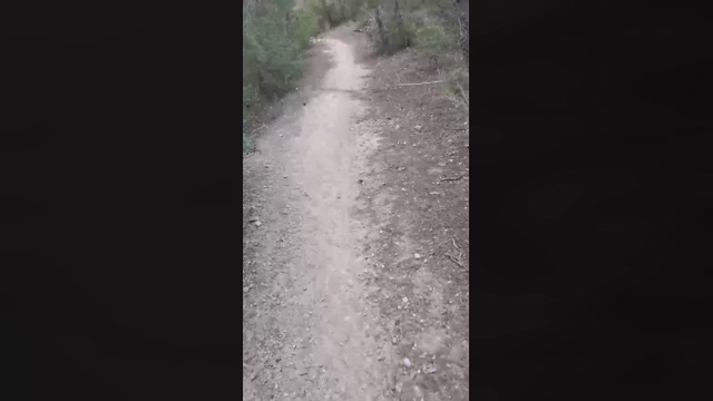 Slavomir78  13-02-2022 Recorded Video natural