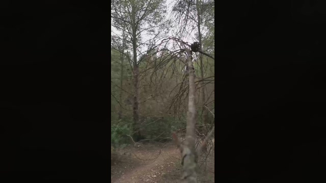 Slavomir78  14-02-2022 video Porn