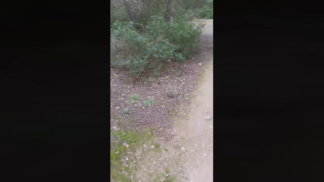 Slavomir78  14-02-2022 Recorded Video Download