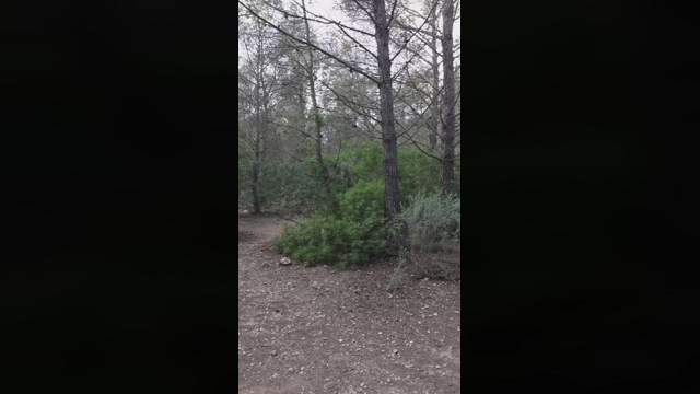 Slavomir78  14-02-2022 video lovense