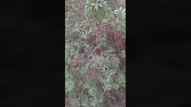 Slavomir78  14-02-2022 video hot