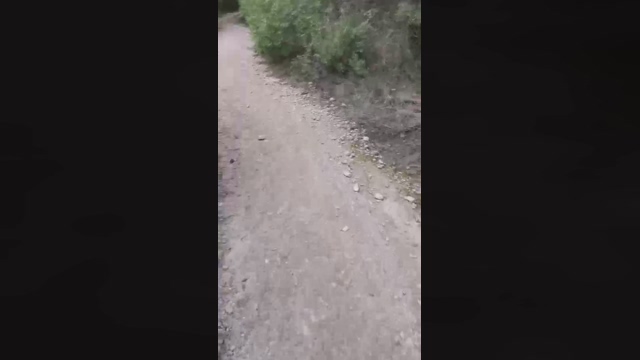 Slavomir78  13-02-2022 video fingers