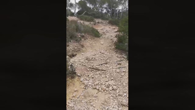 Slavomir78  14-02-2022 video natural