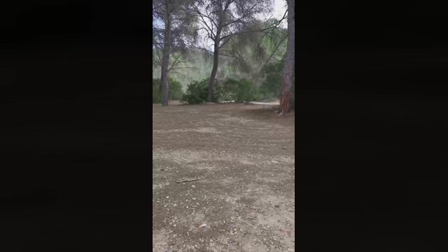 Slavomir78  14-02-2022 video bigballs