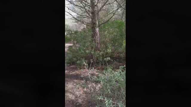 Slavomir78  14-02-2022 Recorded Video ass