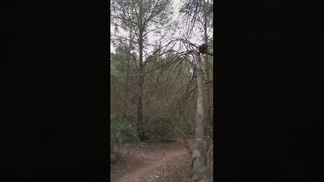 Slavomir78  14-02-2022 Recorded Video bigdick
