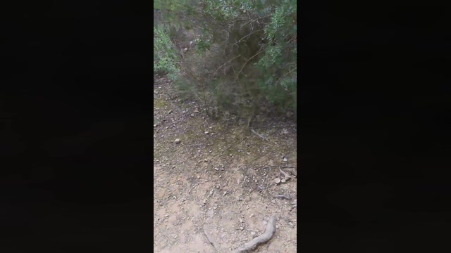 Slavomir78  14-02-2022 Recorded Video fuckface
