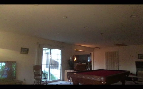 palpation  13-02-2022 video fuckass