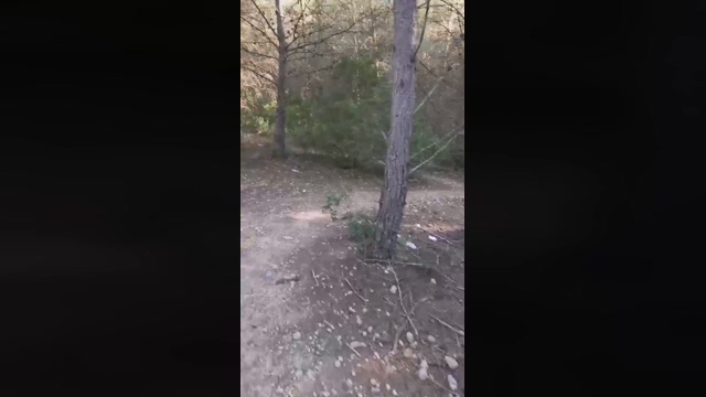 Slavomir78  14-02-2022 video Download