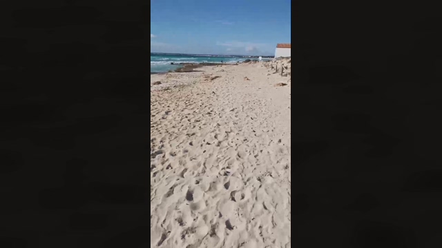 Slavomir78  15-02-2022 Recorded Video jerking