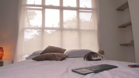 aaronmagnum  14-02-2022 video squirt