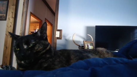 lancehardin  15-02-2022 video moan