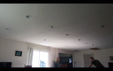 palpation  14-02-2022 video spank