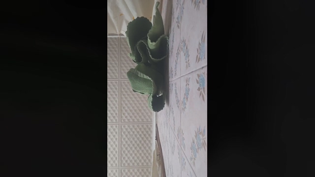 Morenikofumeta  15-02-2022 video kink