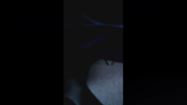 Outdoorgeil1  15-02-2022 Recorded Video suck