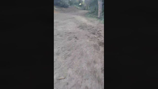 littlefox9  16-02-2022 video bigtoys