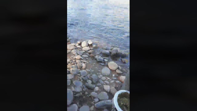 Bichitodeluz20  16-02-2022 Recorded Video Video