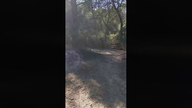 Slavomir78  17-02-2022 Recorded Video playtime