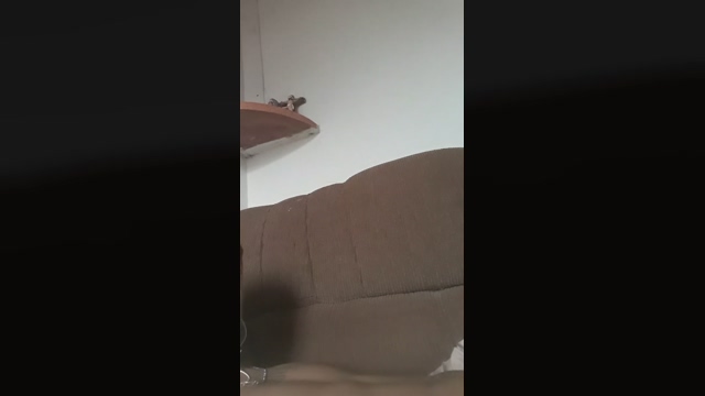 Vitor6900  16-02-2022 Recorded Video beautiful