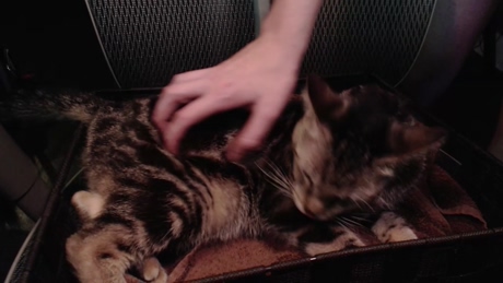 booker_baxton  17-02-2022 video playtime