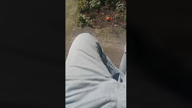 corno26  17-02-2022 Recorded Video harddick