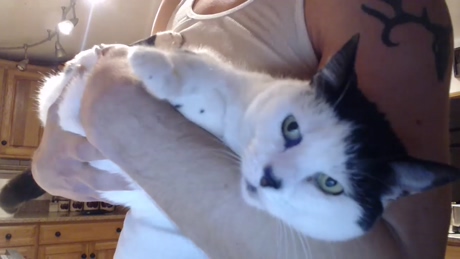 lancehardin  17-02-2022 video gag