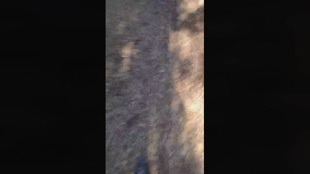 littlefox9  17-02-2022 Recorded Video yummy