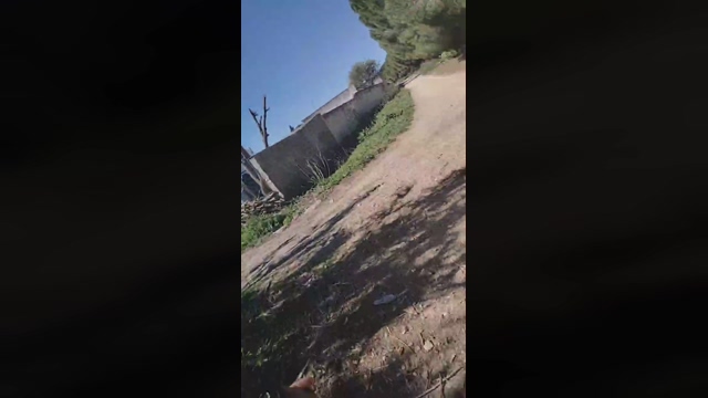 littlefox9  17-02-2022 Recorded Video suck