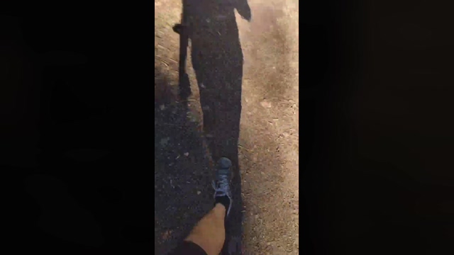 littlefox9  17-02-2022 video Porn