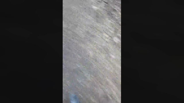 littlefox9  17-02-2022 video fuckface