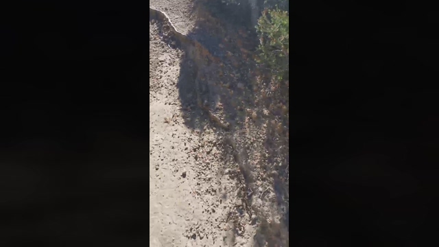 Slavomir78  18-02-2022 video gag