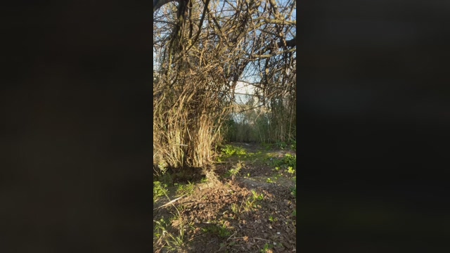 daylabo  18-02-2022 video prettyface