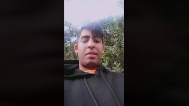 littlefox9  18-02-2022 video analtoy