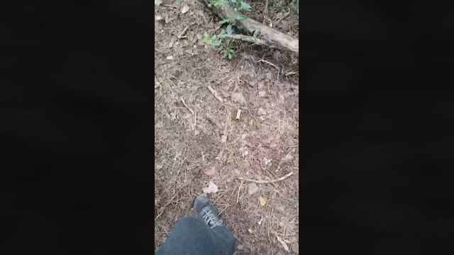 littlefox9  18-02-2022 video sexyfeet