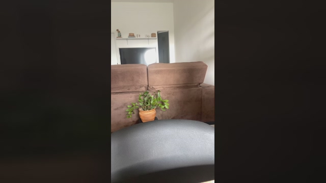 pikkudosarado  18-02-2022 Recorded Video blowjob