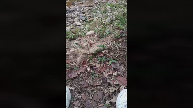 Master_piss  18-02-2022 Recorded Video fuckass