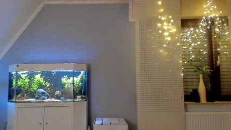 ronhill13  18-02-2022 video suck