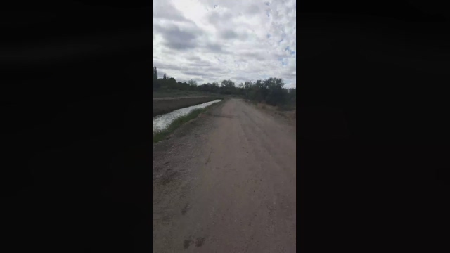 Bichitodeluz20  20-02-2022 video beauty