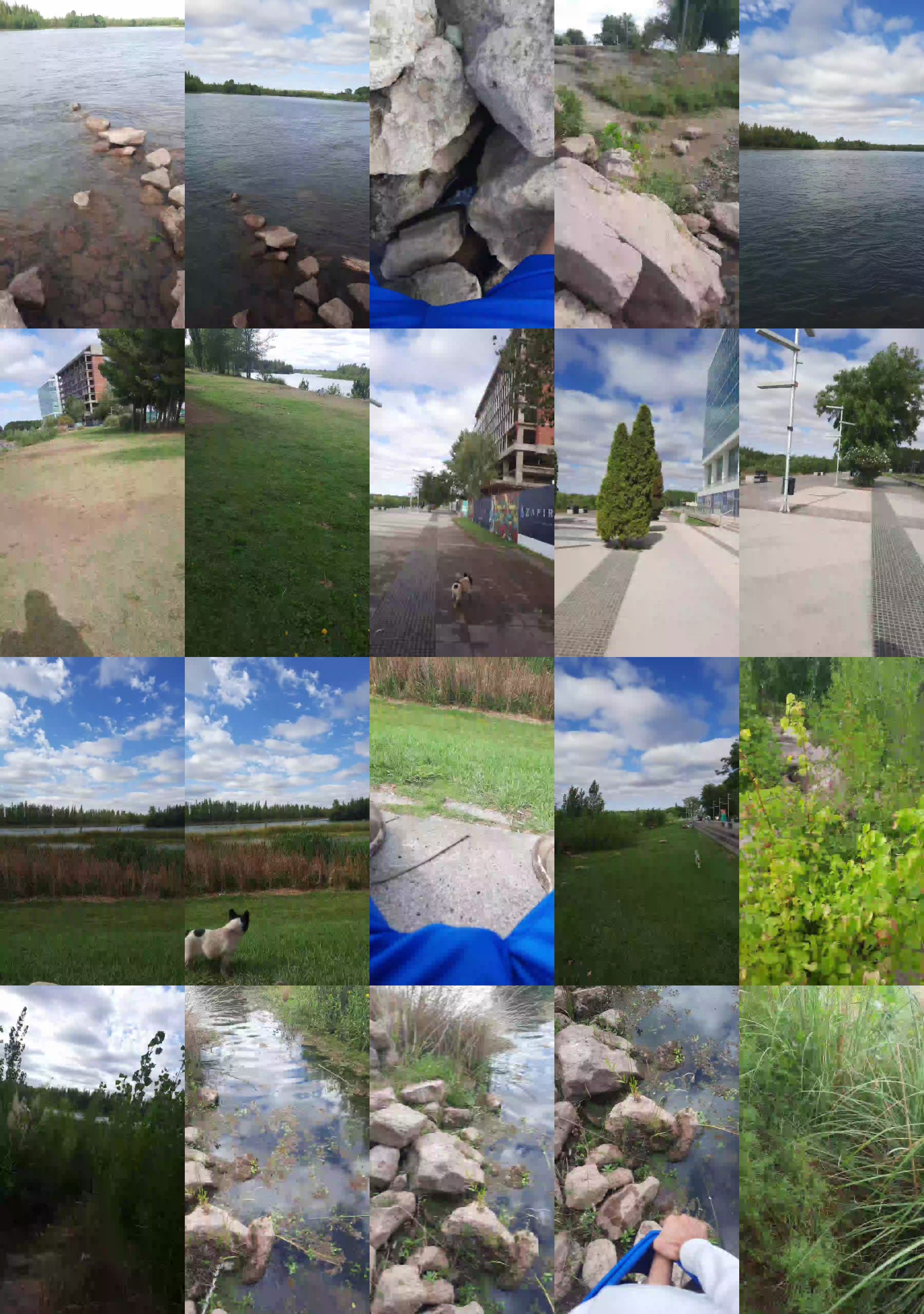 Bichitodeluz20  20-02-2022 Recorded Video big