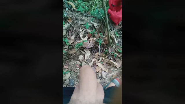 Master_Pork  19-02-2022 Recorded Video hard